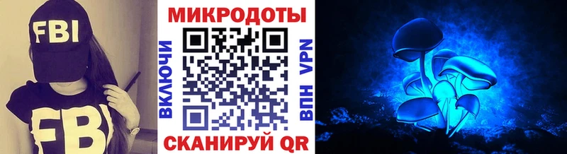 закладки  Чадан  Галлюциногенные грибы Cubensis 
